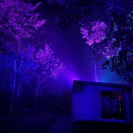 Lodge Lumi Nature & Silence Rewal