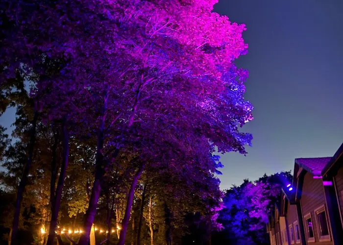 홀리데이파크 Lumi Nature & Silence 레왈